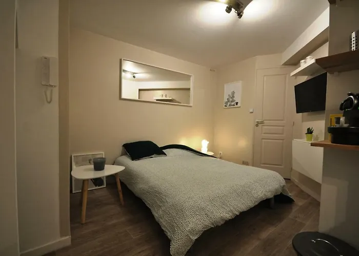 Studio Tiny Et Cosy Quartier St Etienne